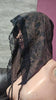 Nehelenia Dress Print